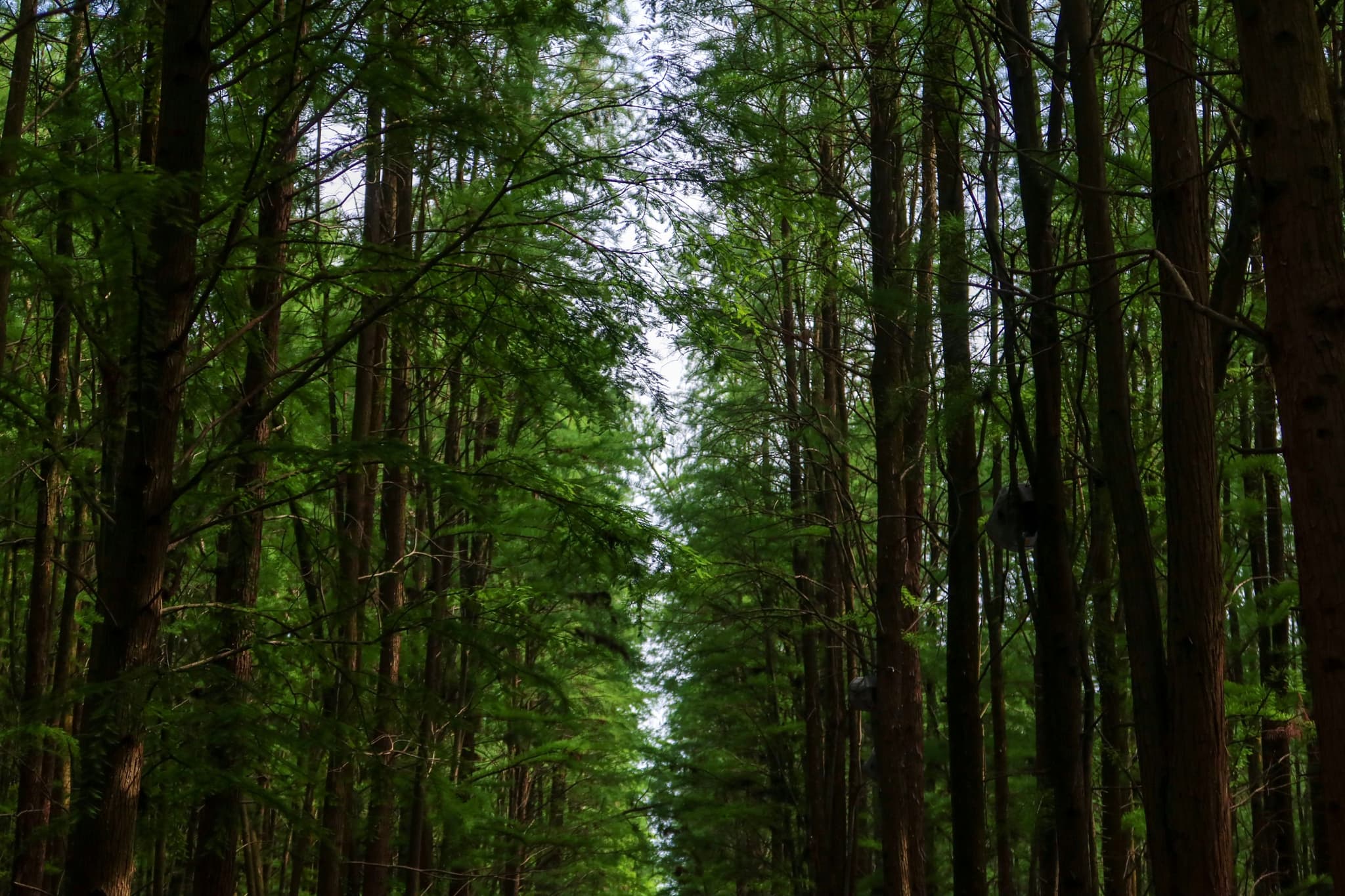 30 4月 23