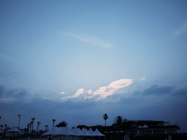 21 6月 24